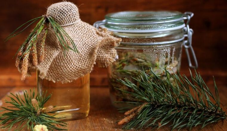 Borov decoction zajedavcev